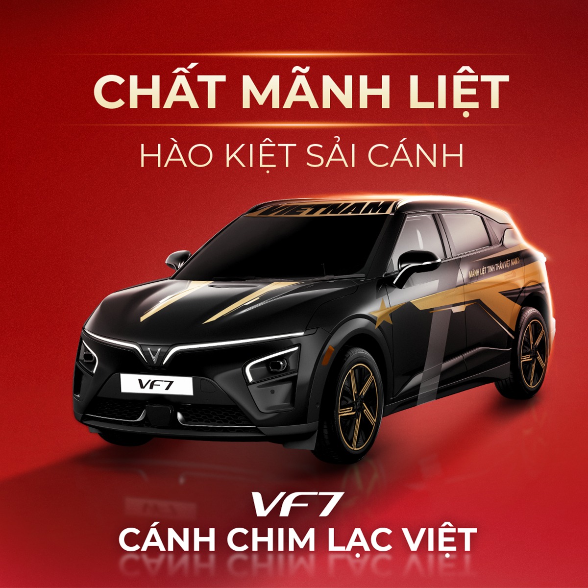 VinFast chính thức giới thiệu bộ sưu tập phiên bản đặc biệt với thông điệp “Mỗi thiết kế – Một...jpg